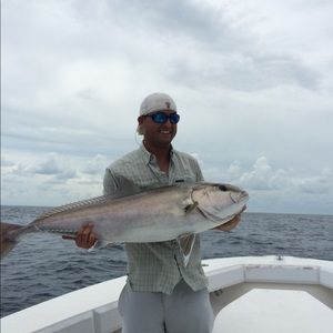 Meet your Posher, Billy